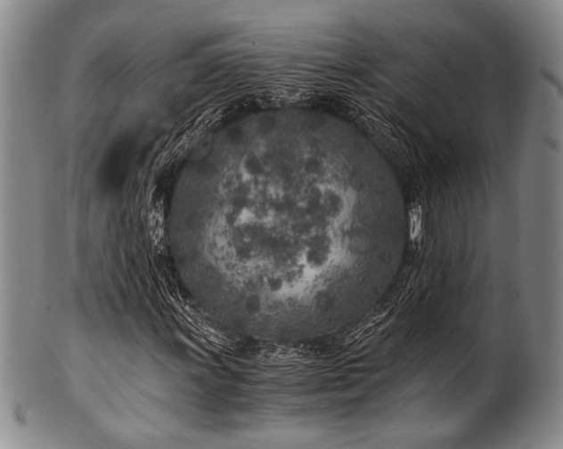 X0000101111011200806261407