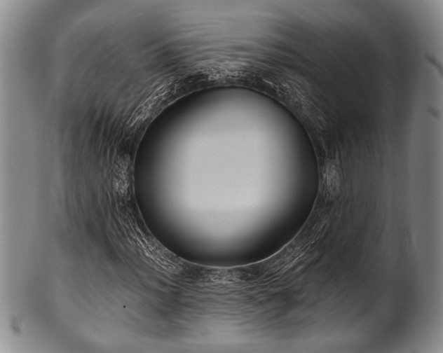 X0000101111012200806261407