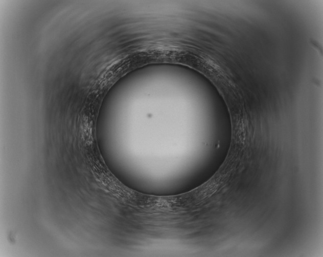 X0000101111013200806261407