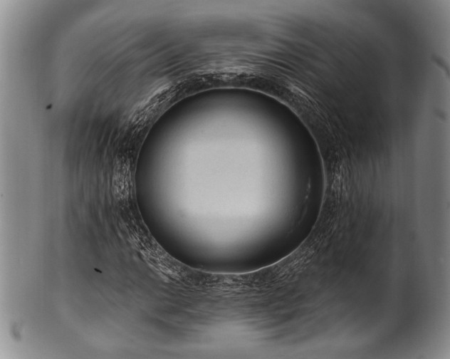 X0000101111014200806261407
