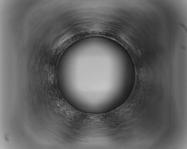 X0000101111015200806261407