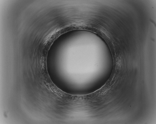 X0000101111016200806261407