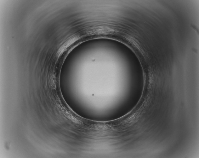 X0000101111018200806261407