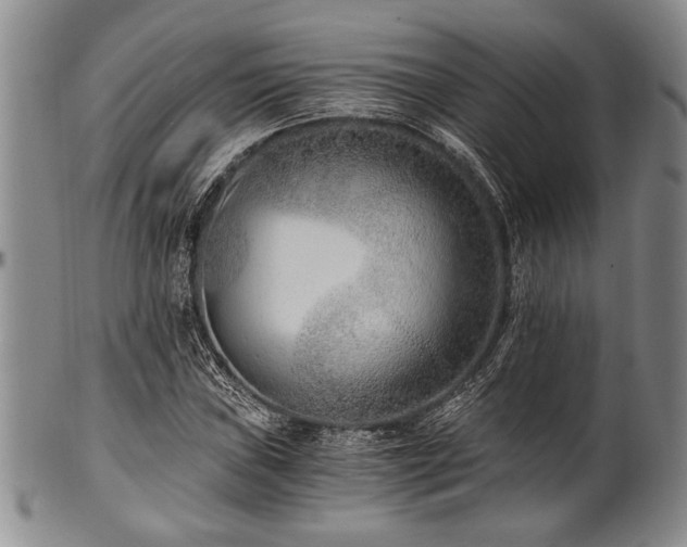X0000101111019200806261407