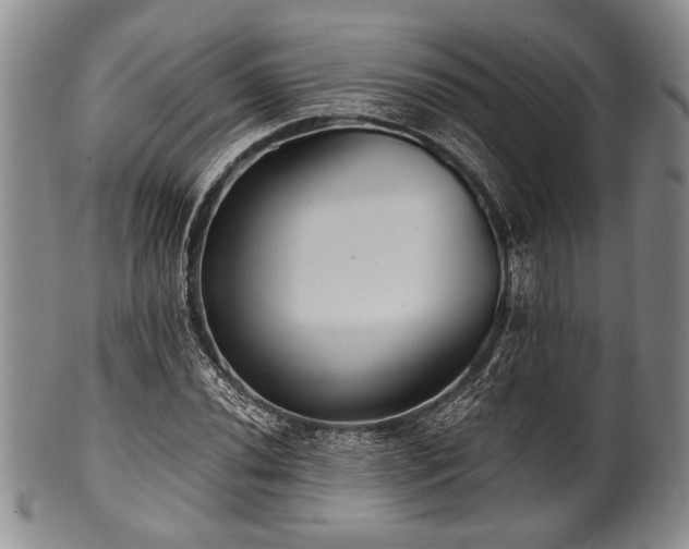 X0000101111020200806261407