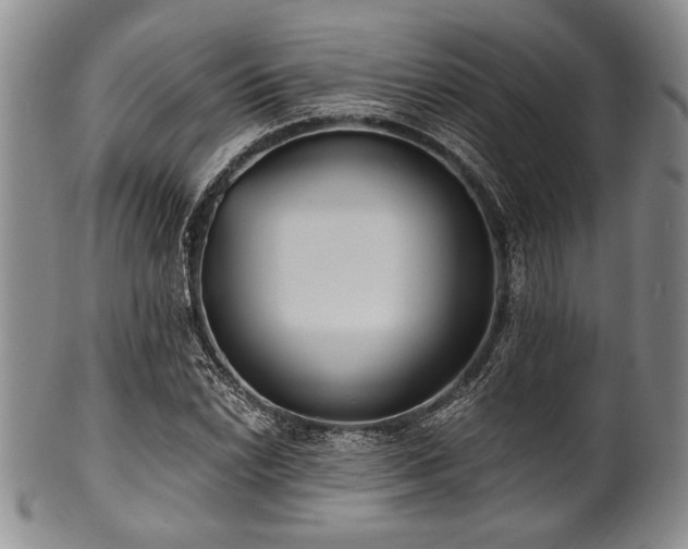 X0000101111022200806261407