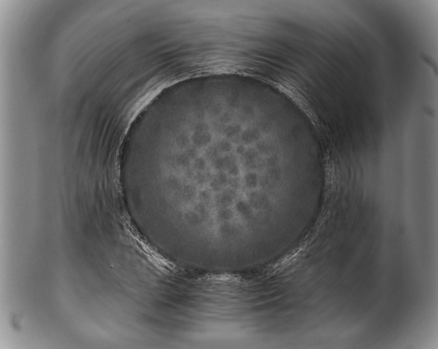 X0000101111023200806261407