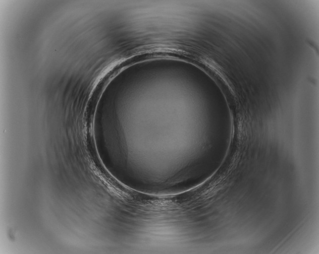 X0000101111024200806261407