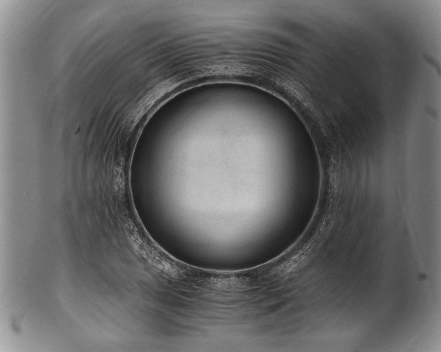 X0000101111025200806261407