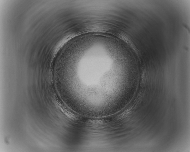 X0000101111027200806261407