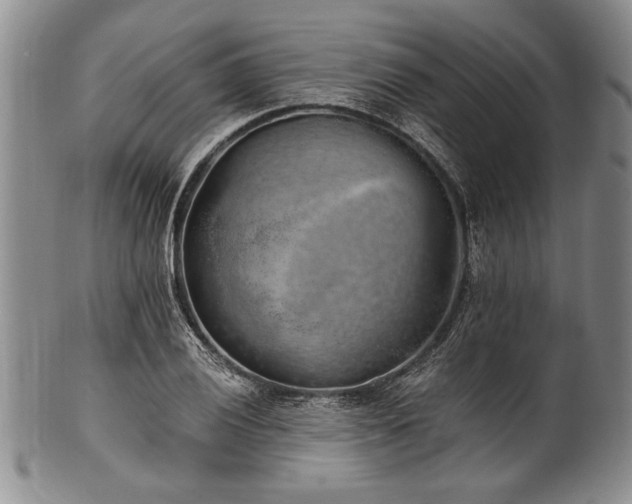 X0000101111028200806261407