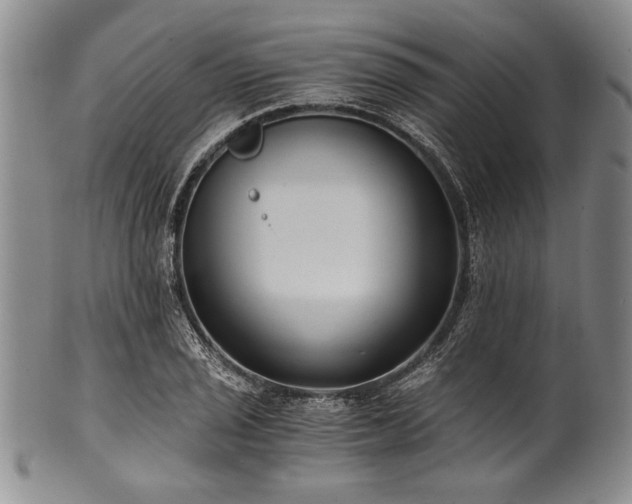 X0000101111029200806261407