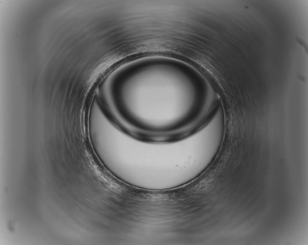 X0000101111030200806261407