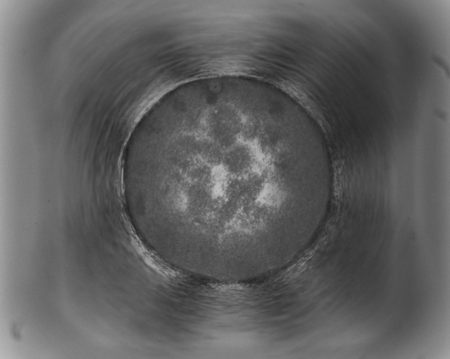 X0000101111031200806261407
