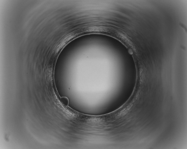 X0000101111033200806261407
