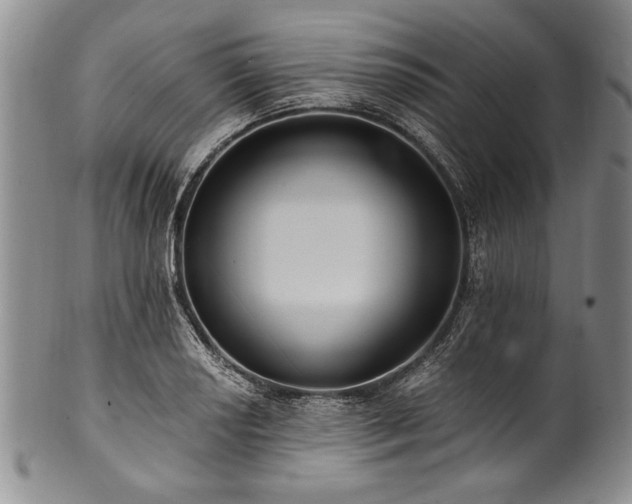 X0000101111034200806261407