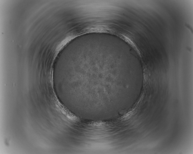 X0000101111035200806261408