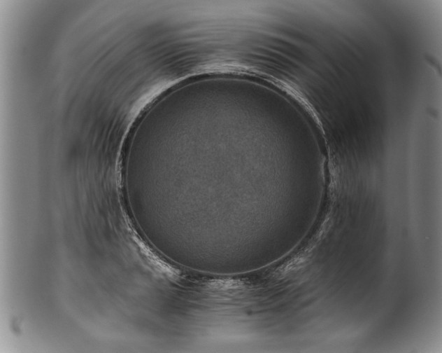 X0000101111037200806261408