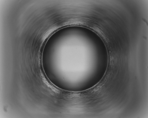 X0000101111038200806261408