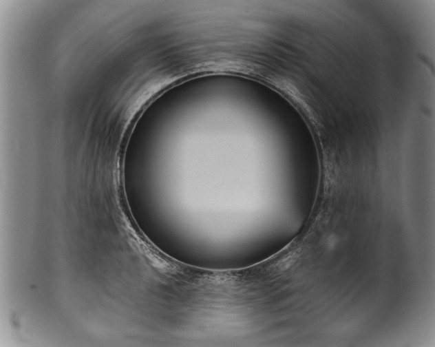 X0000101111040200806261408