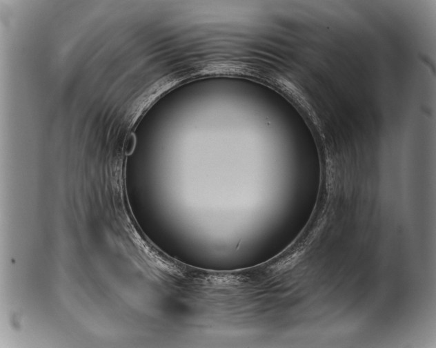 X0000101111041200806261408