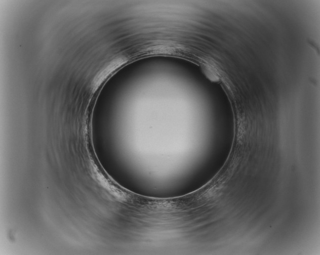 X0000101111042200806261408