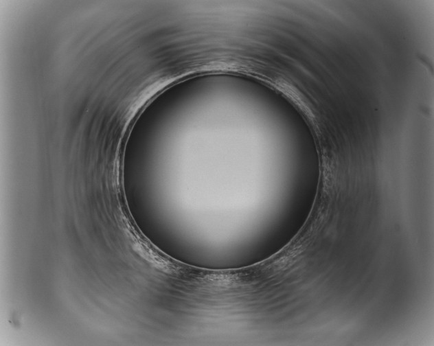 X0000101111044200806261408
