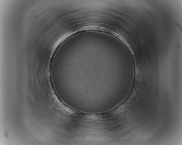 X0000101111045200806261408