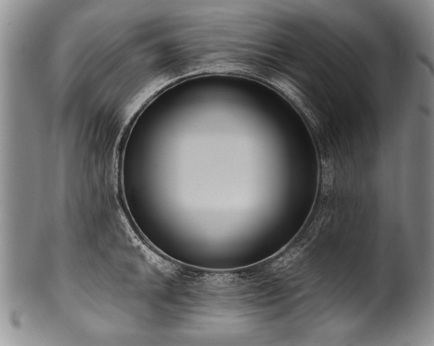 X0000101111046200806261408