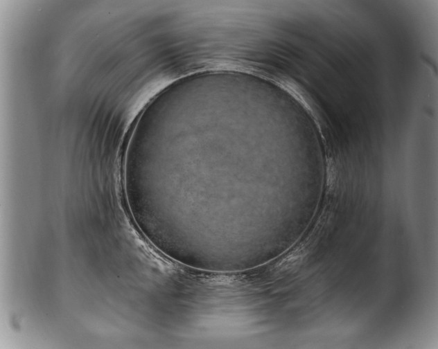 X0000101111048200806261408