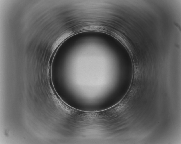 X0000101111050200806261408