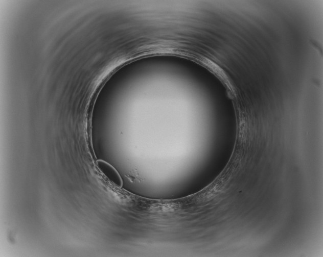 X0000101111051200806261408