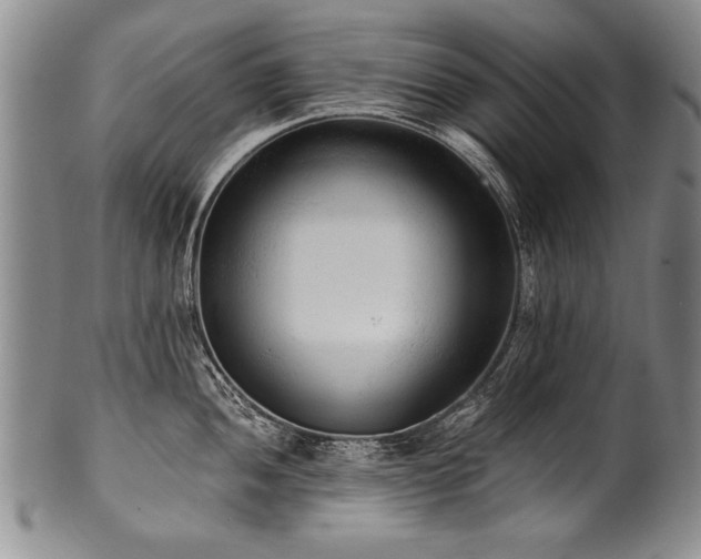 X0000101111052200806261408