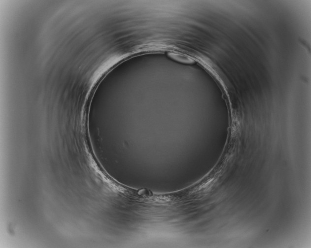 X0000101111053200806261408