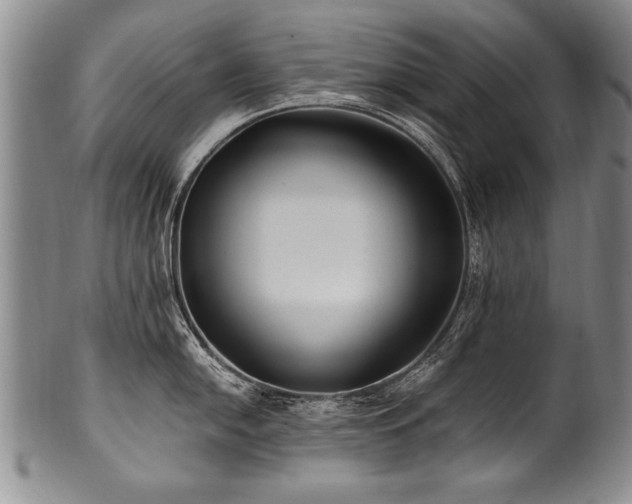 X0000101111054200806261408