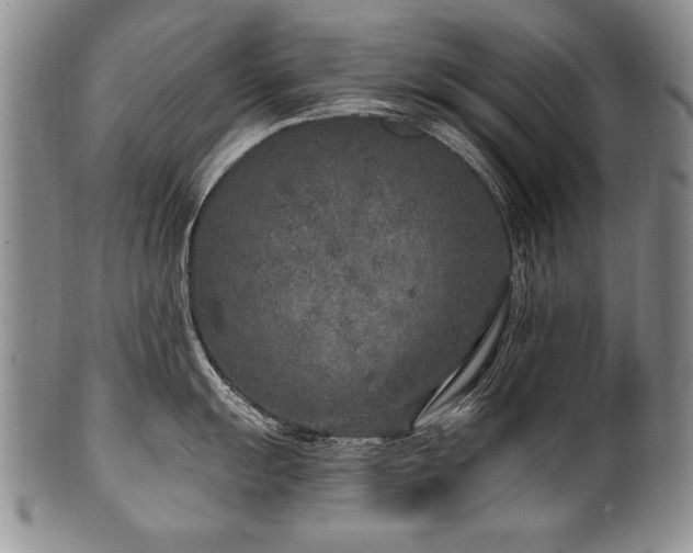 X0000101111055200806261408