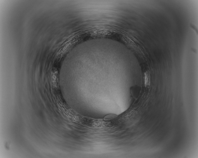 X0000101111059200806261407