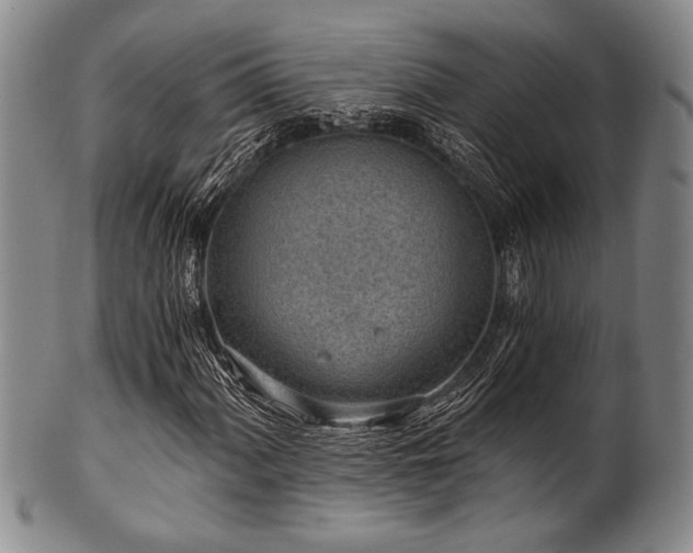 X0000101111060200806261407