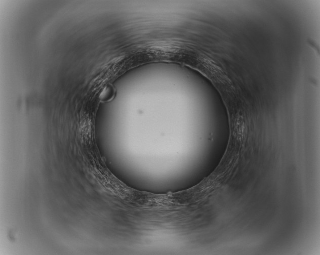 X0000101111061200806261407