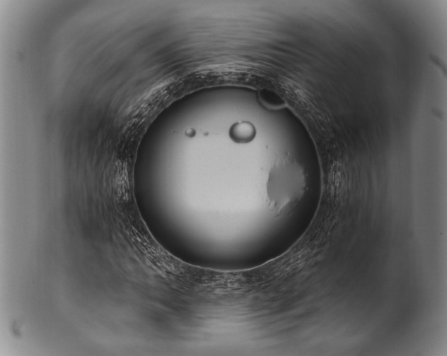 X0000101111062200806261407