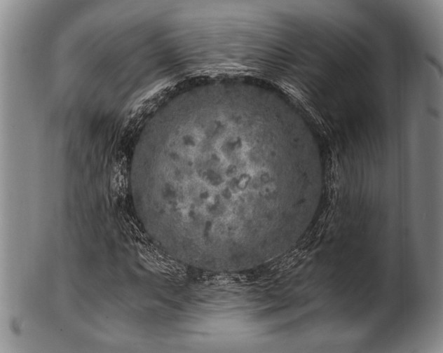 X0000101111063200806261407