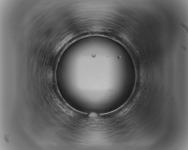 X0000101111065200806261407