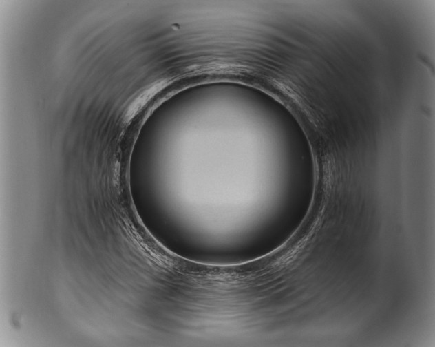 X0000101111066200806261407
