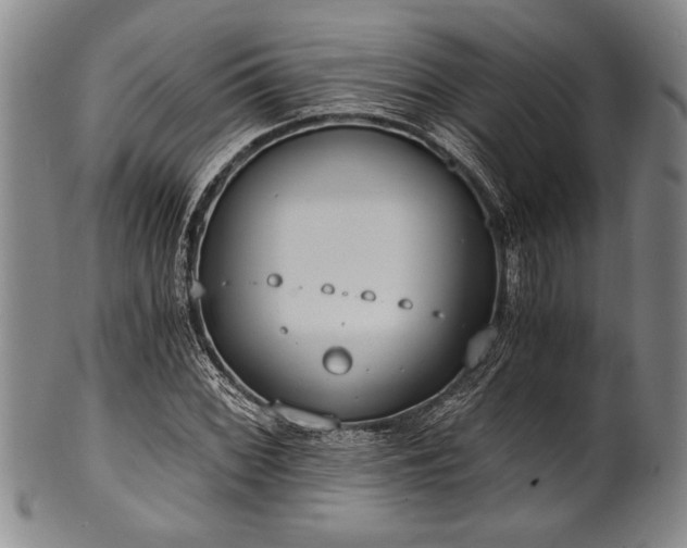 X0000101111068200806261407