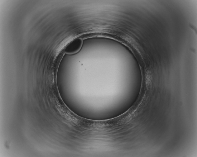 X0000101111069200806261407