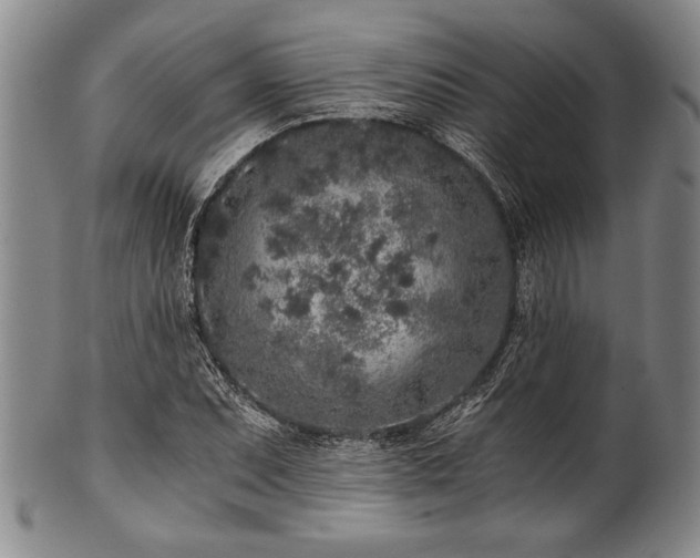 X0000101111071200806261407