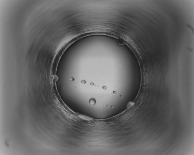X0000101111072200806261407