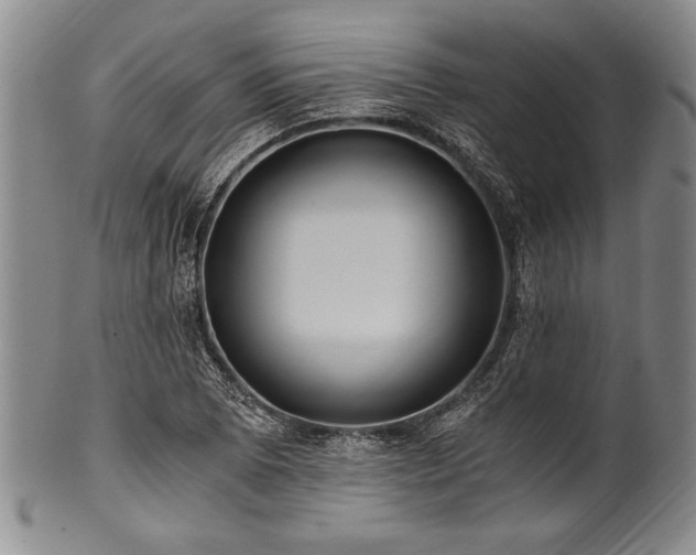 X0000101111073200806261407