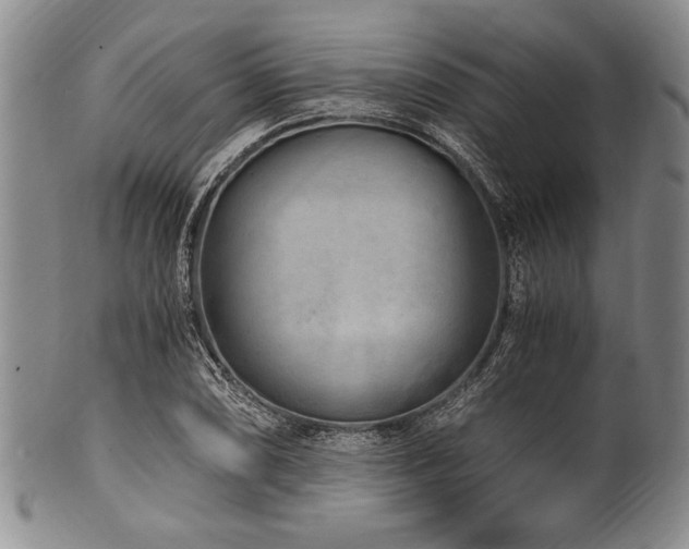 X0000101111074200806261407