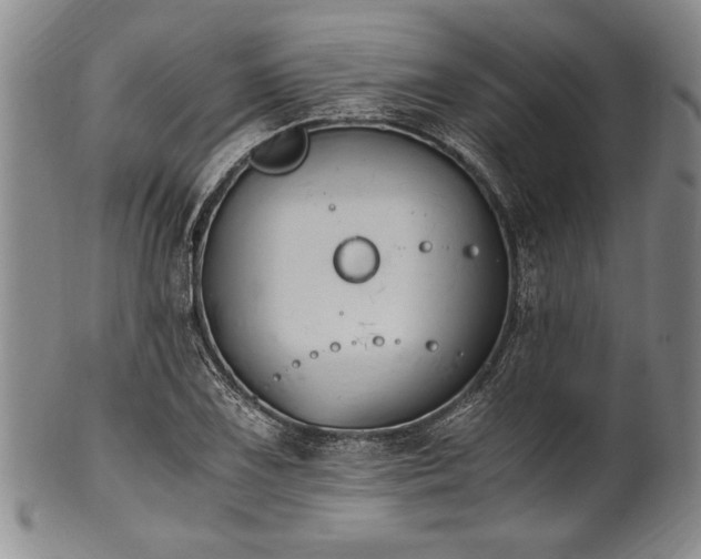 X0000101111075200806261407